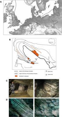 Question of local exploitation of copper ore deposits in the Urnfield time in Poland